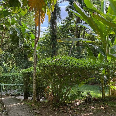 Colina Secreta - Glamping And Villas Puerto Viejo de Talamanca Екстериор снимка