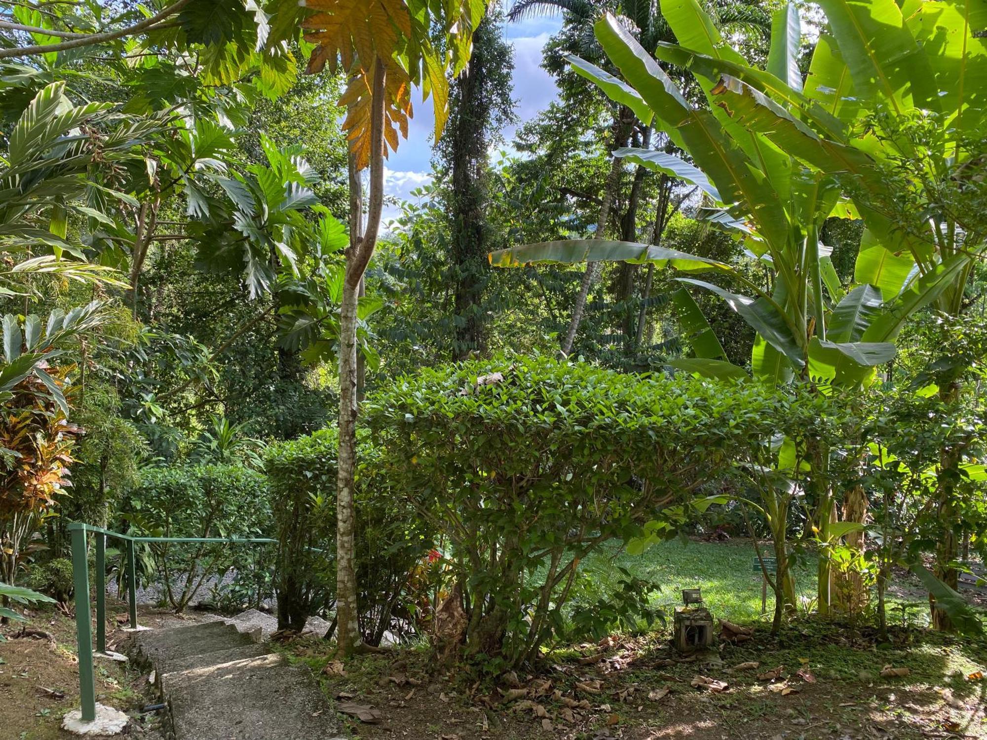 Colina Secreta - Glamping And Villas Puerto Viejo de Talamanca Екстериор снимка